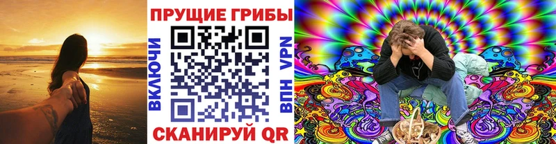 Галлюциногенные грибы GOLDEN TEACHER  Колпашево 